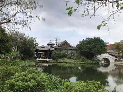 顺德乐从一全龄健康生活圈正式开业